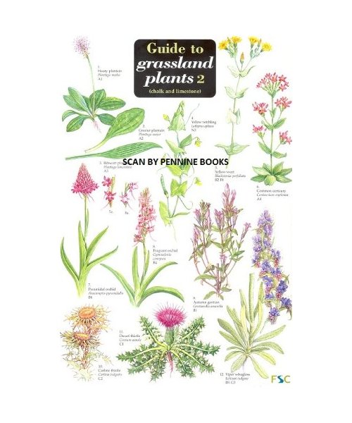 Guide to Grassland Plants 2