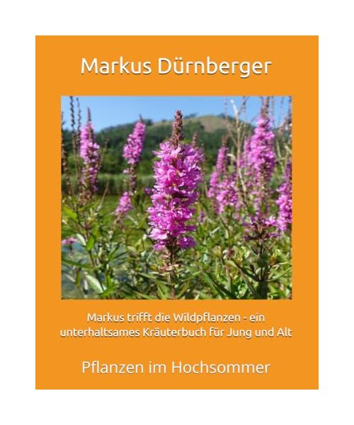 Markus trifft die Wildpflanzen - ein unterhaltsames Kräuterbuch für Jung und Alt: Pflanzen im Hochsommer