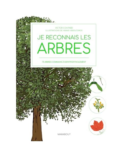 Je reconnais les arbres
