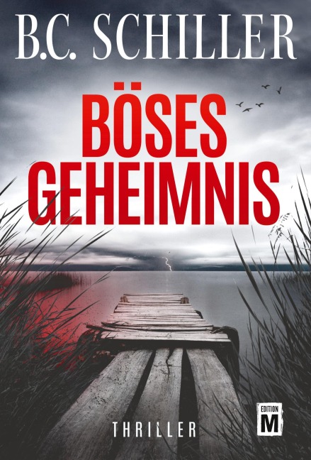 Böses Geheimnis (Levi Kant, Band 1)