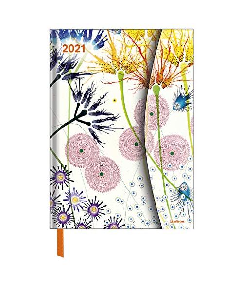Dan Bennett 2021 Taschenkalender 16x22