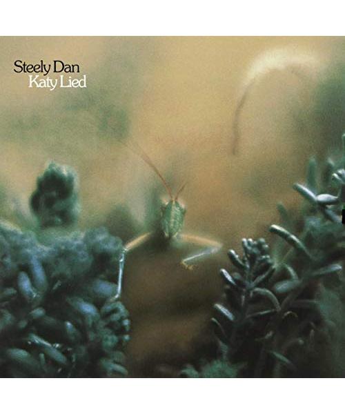 Katy Lied