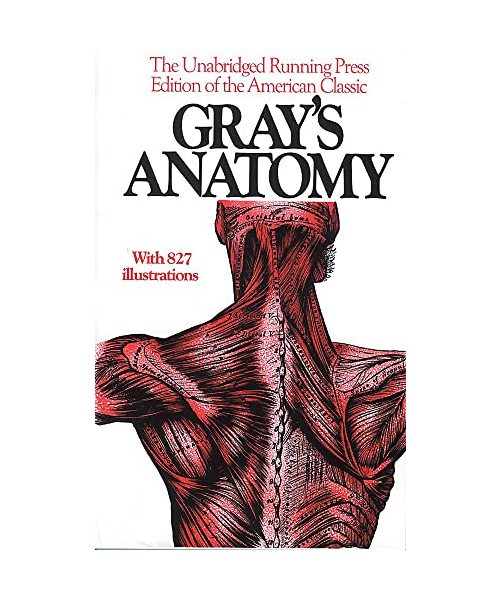 Gray's Anatomy