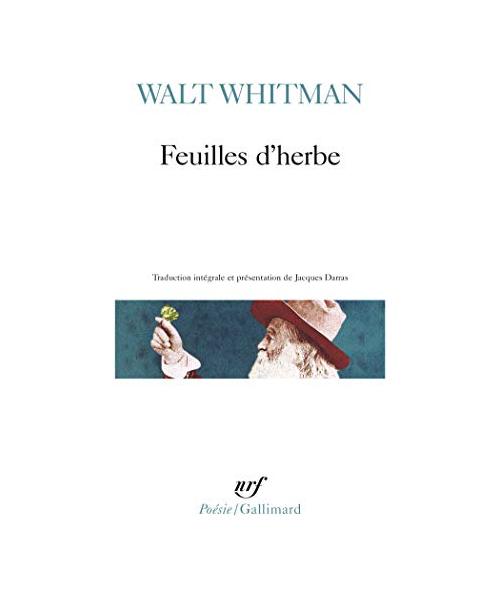Feuilles D Herbe