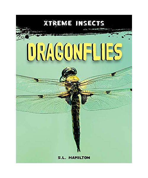 Dragonflies