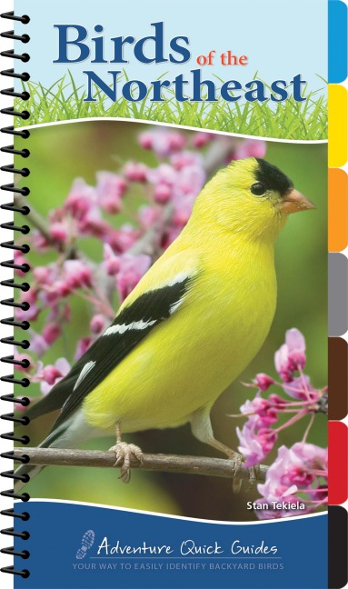 Birds of the Northeast