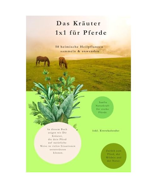 Das Kräuter 1x1 für Pferde – 50 heimische Heilpflanzen sammeln und anwenden: Heilkräuter, Hausmittel & Pflanzenwissen zur natürlichen Unterstützung von Gesundheit, Vitalität und Wohlbefinden