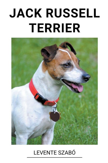 Jack Russell Terrier