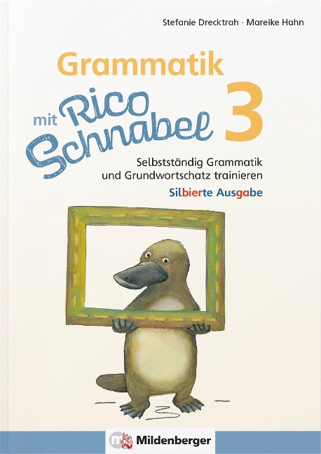 Grammatik mit Rico Schnabel, Klasse 3 - silbierte Ausgabe