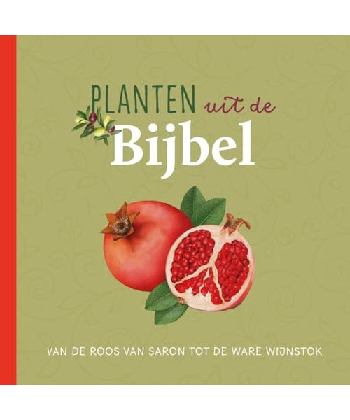 Planten uit de Bijbel: van de roos van Saron tot de ware wijnstok