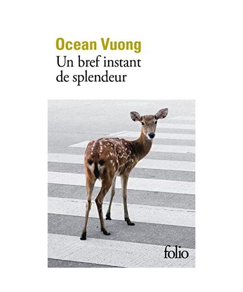 Un bref moment de splendeur