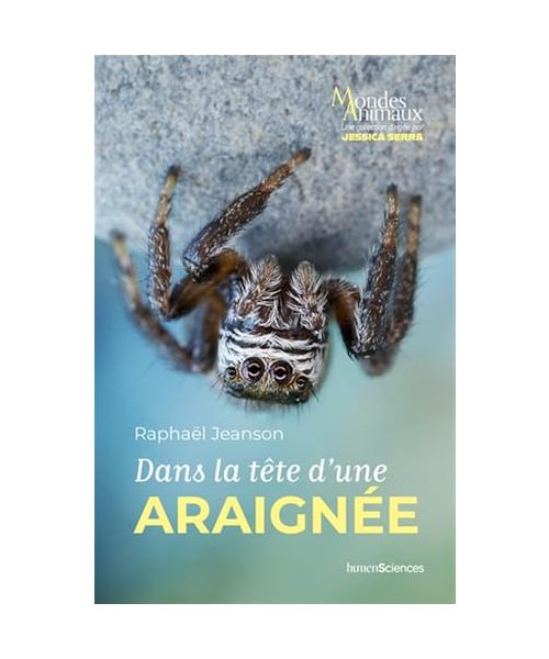 Dans la tête d'une araignée