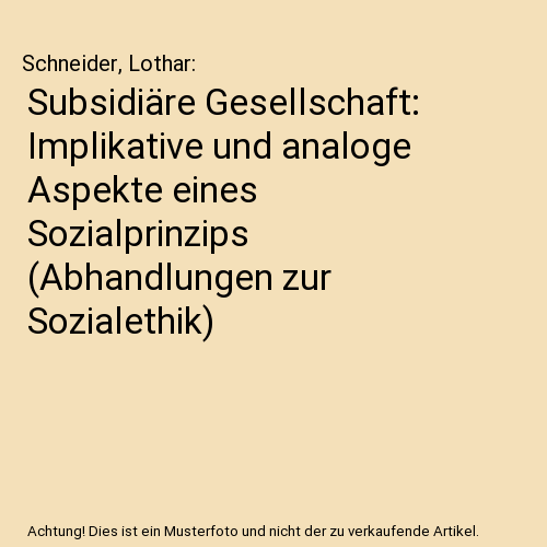 Subsidiäre Gesellschaft: Implikative und analoge Aspekte eines Sozialprinzips (Abhandlungen zur Sozialethik)