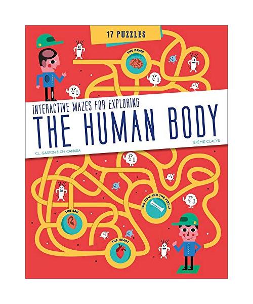 The Human Body