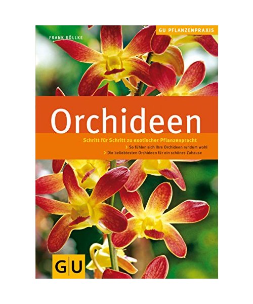 Orchideen