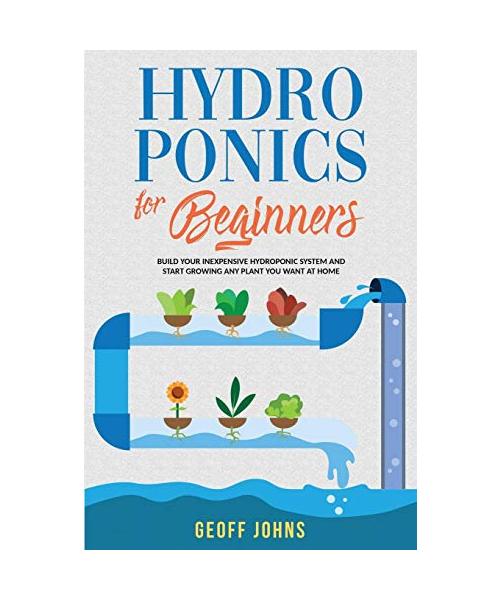 Hydroponics for Beginners