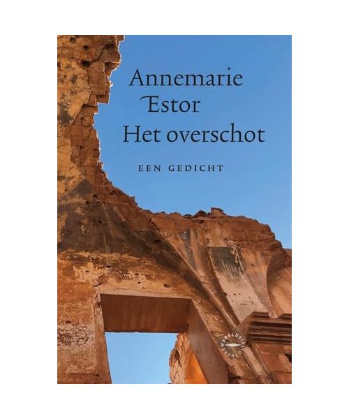 Het overschot