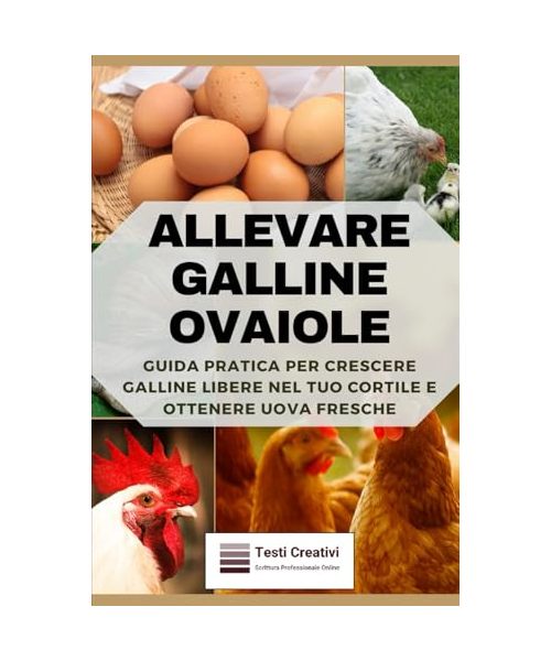 Allevare Galline Ovaiole: Guida Pratica per Crescere Galline Libere nel Tuo Cortile e Ottenere Uova Fresche