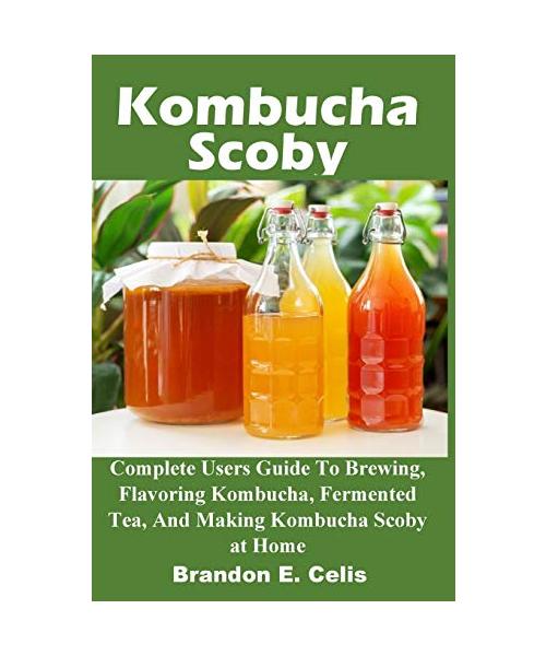 Kombucha Scoby