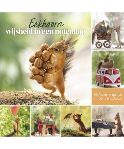 Eekhoorn: wijsheid in een notendop