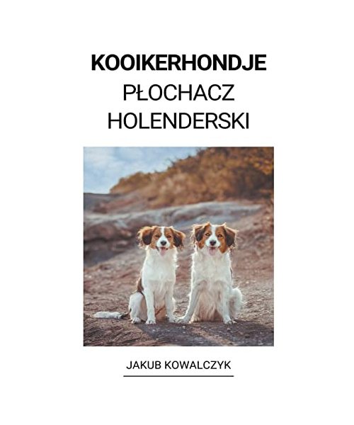 Kooikerhondje (Plochacz Holenderski)