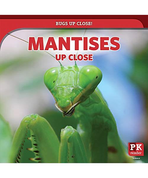 Mantises Up Close