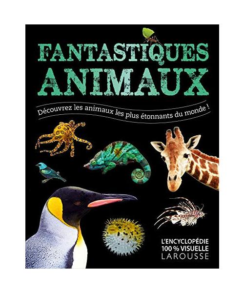 Fantastiques Animaux: Découvrez les animaux les plus étonnants du monde !