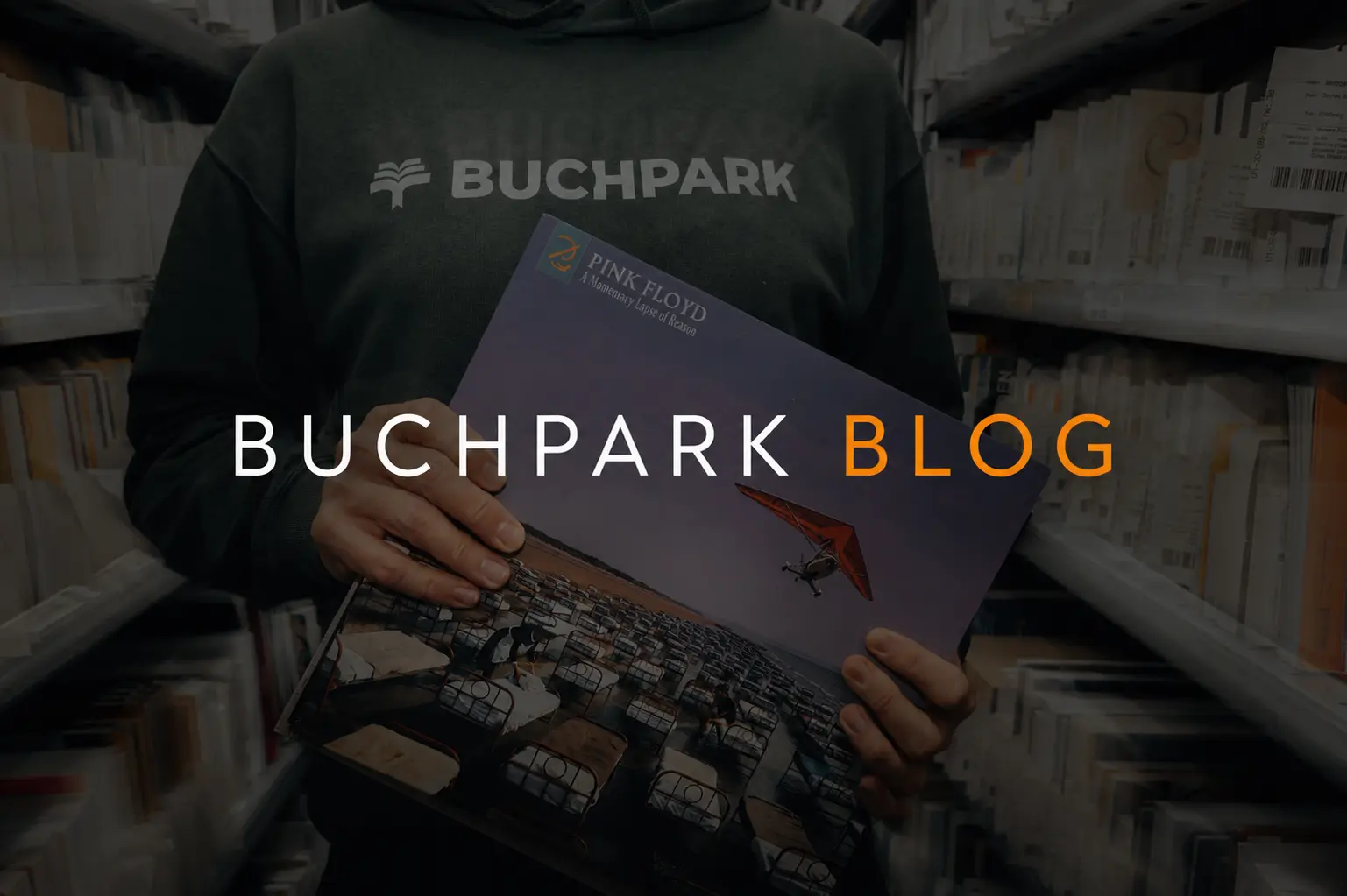 Vinyl erleben statt nur Musik streamen
