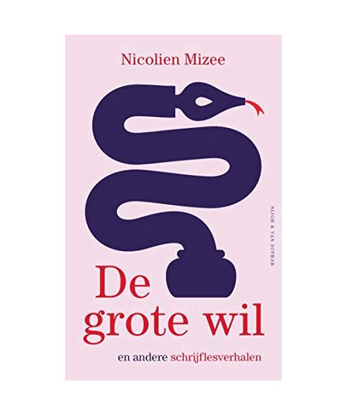 De grote wil en andere schrijflesverhalen: en andere schrijflesverhalen
