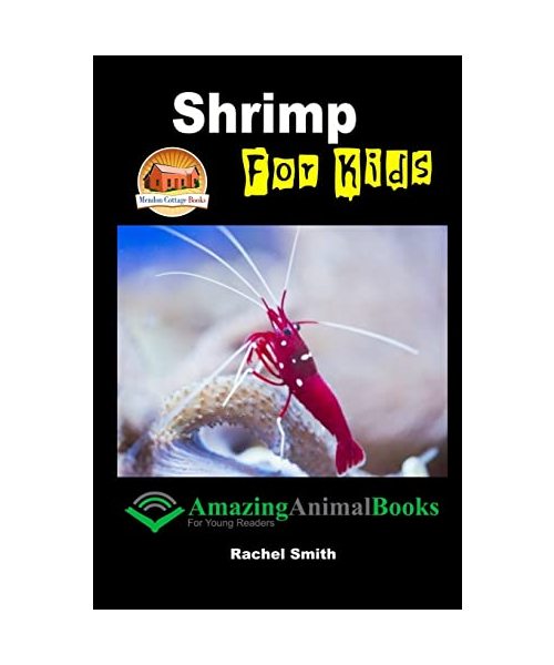 Shrimp For Kids
