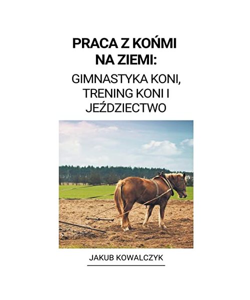 Praca z Końmi na Ziemi