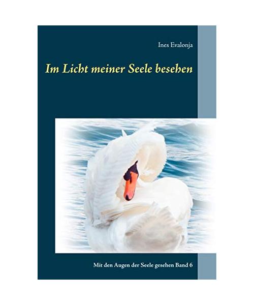 Im Licht meiner Seele besehen