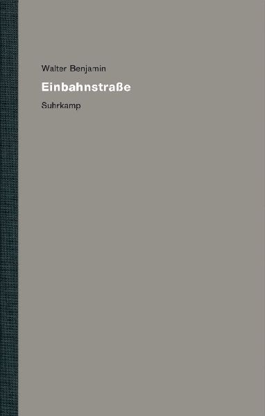 Werke und Nachlaß. Kritische Gesamtausgabe 8