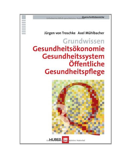 Gesundheitsökonomie, Gesundheitssystem, Öffentliche Gesundheitspflege