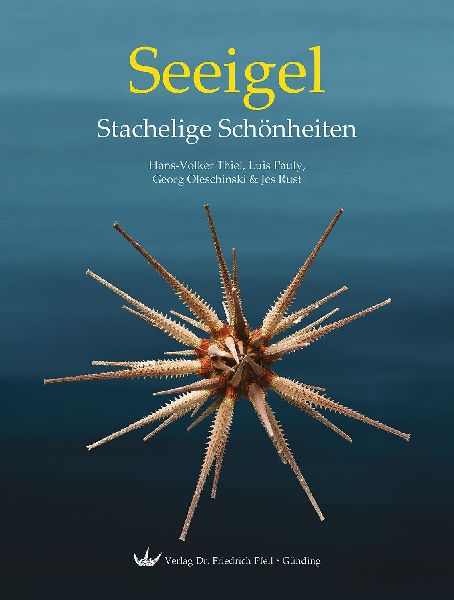 Seeigel - Stachelige Schönheiten