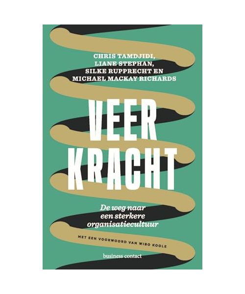 Veerkracht: de weg naar een sterkere organisatiecultuur