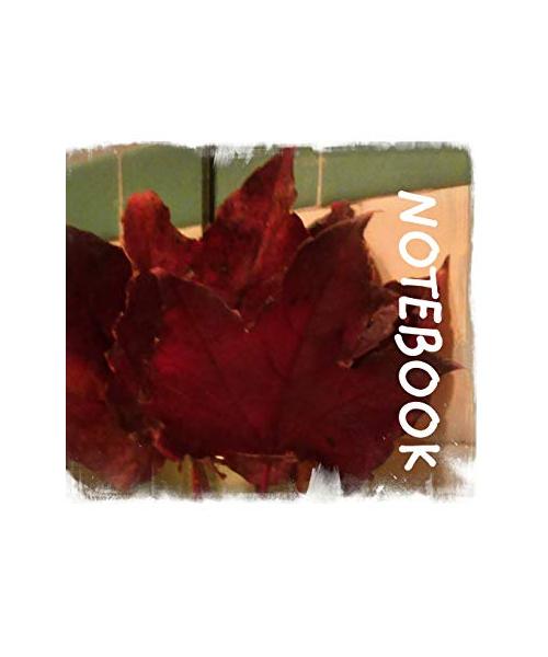 Beauty of The Season of Autumn: Autum Leaves