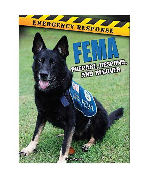 Fema: Prepare, Respond, and Recover
