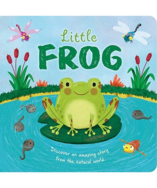 Nature Stories: Little Frog-Discover an Amazing Story from the Natural World: Padded Board Book