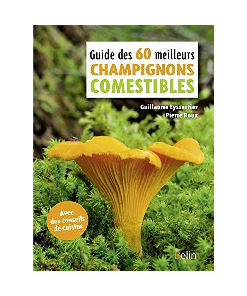 Guide des 60 meilleurs champignons comestibles