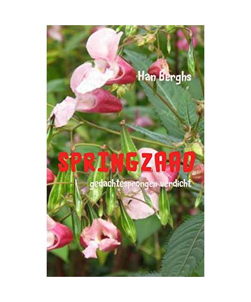 Springzaad: gedachtesprongen verdicht