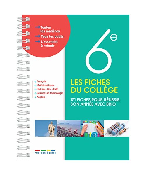 Les fiches du collège 6e: 171 fiches pour réussir son année avec brio
