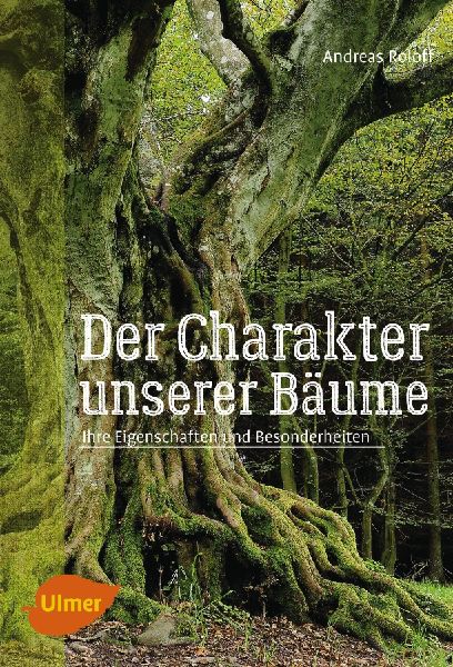 Der Charakter unserer Bäume