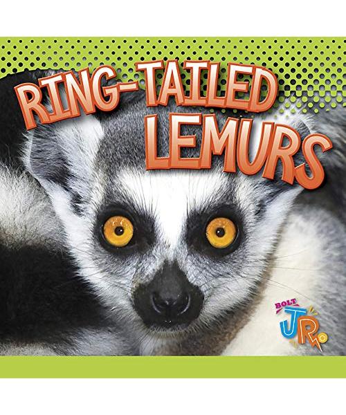 Ring-Tailed Lemurs