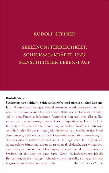 Seelenunsterblichkeit, Schicksalskräfte und menschlicher Lebenslauf