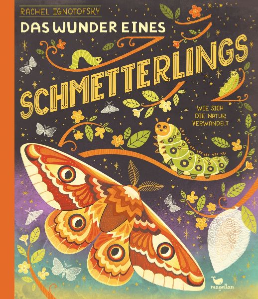 Das Wunder eines Schmetterlings - Wie sich die Natur verwandelt