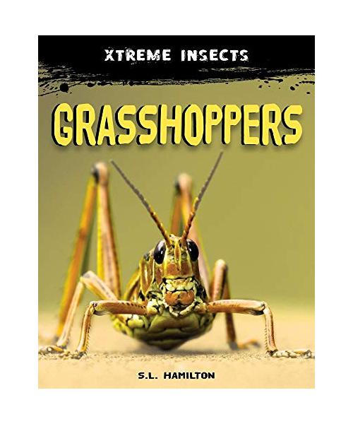 Grasshoppers
