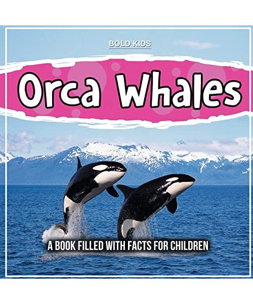 Orca Whales: A Book Filled With Facts For Children