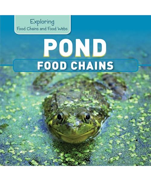 Pond Food Chains