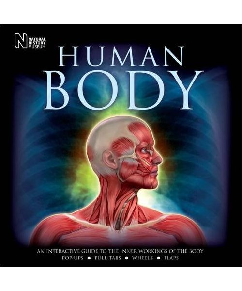 Human Body